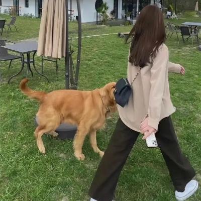 真事信不信